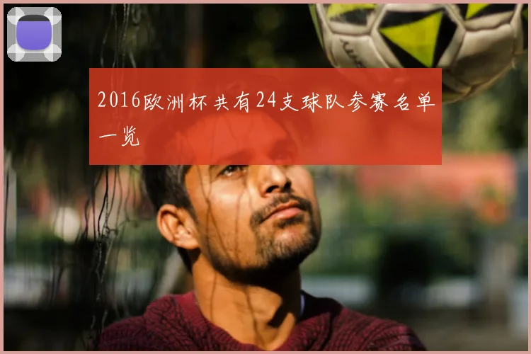 2016欧洲杯共有24支球队参赛名单一览