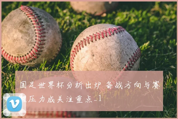 国足世界杯分析出炉 备战方向与赛程压力成关注重点_1