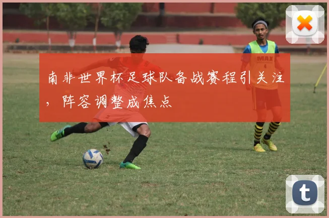 南非世界杯足球队备战赛程引关注,阵容调整成焦点
