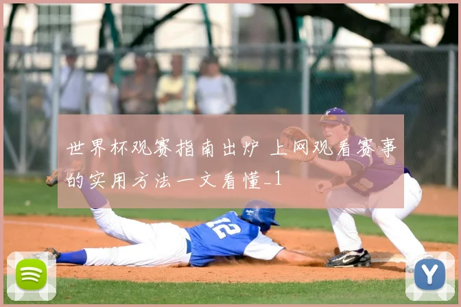世界杯观赛指南出炉 上网观看赛事的实用方法一文看懂_1