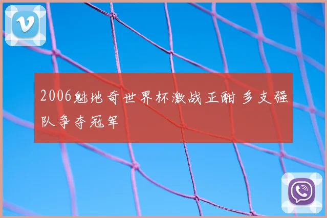 2006魁地奇世界杯激战正酣 多支强队争夺冠军