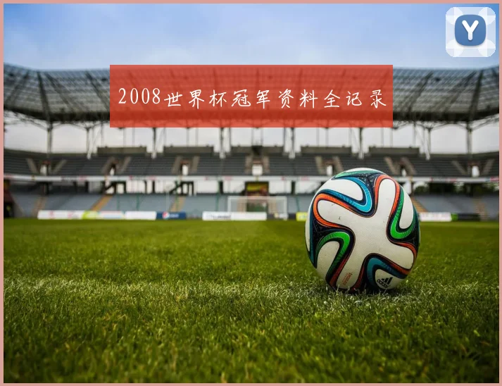 2008世界杯冠军资料全记录