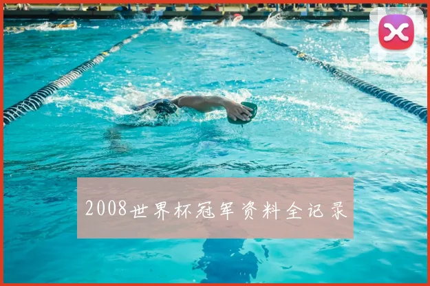 2008世界杯冠军资料全记录