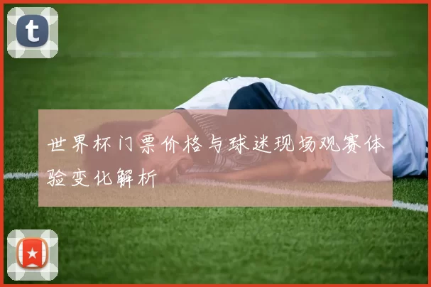 世界杯门票价格与球迷现场观赛体验变化解析