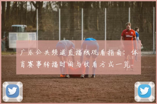 广东公共频道直播线观看指南：体育赛事转播时间与收看方式一览