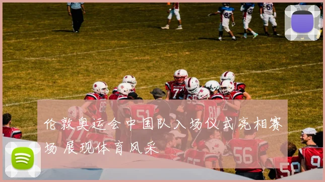 伦敦奥运会中国队入场仪式亮相赛场 展现体育风采