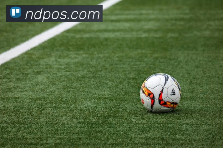 App Interface Preview